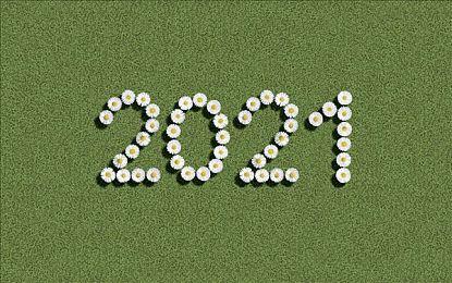 万代发布招聘信息 暗示开发《小小梦魇3》